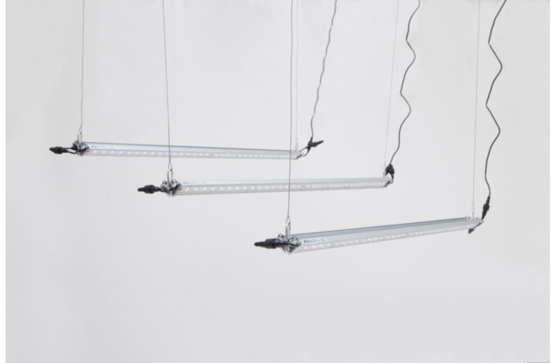 SANlight FLEX 30