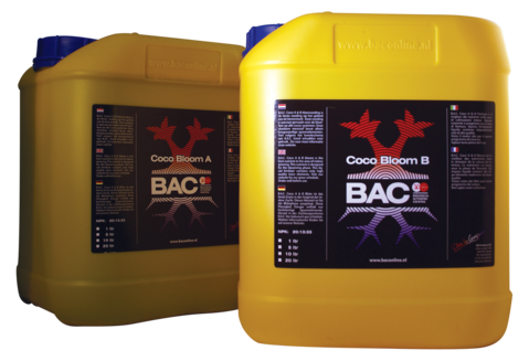 BAC Cocos Bloei A+B