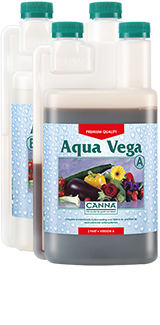 Canna Aqua Flores A&B