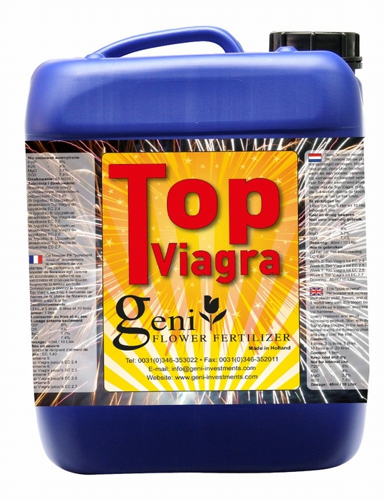 Geni Blossom Excelurator (Top Viagra)