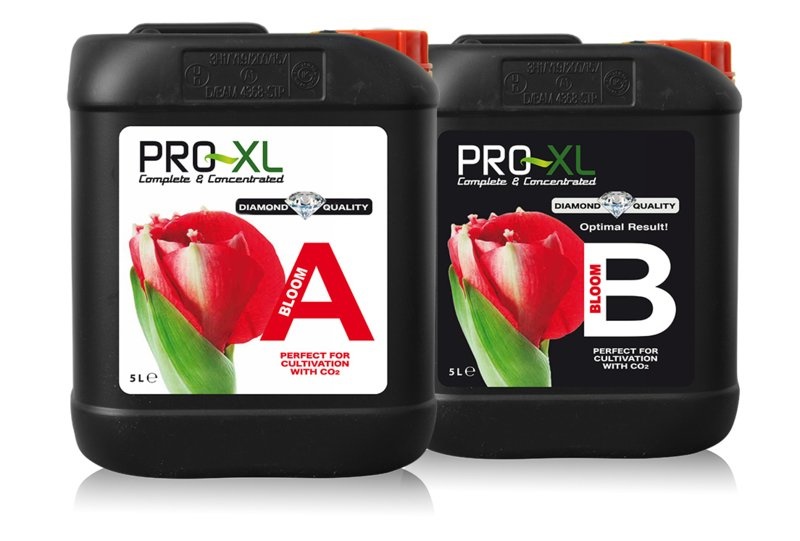 Pro-XL Bloom A&B