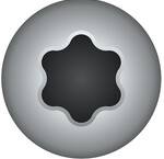 Torx schroeven (TX)