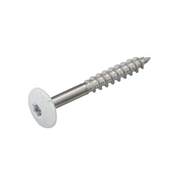 Schroeven voor montage Trespa platen - Torx 20 - 4,8x38mm - RVS - Deeldraad - Wit RAL 9010 (100 stuks)