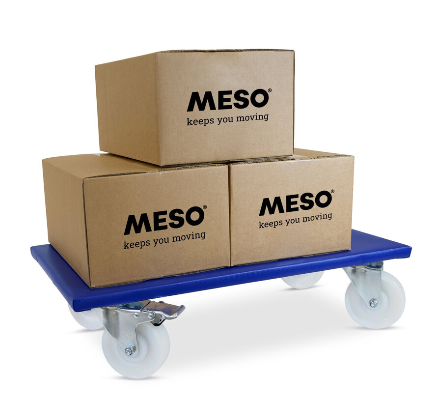 Meubelroller 2 x geremd - Nylon wiel - 600mm x 350mm - 400kg