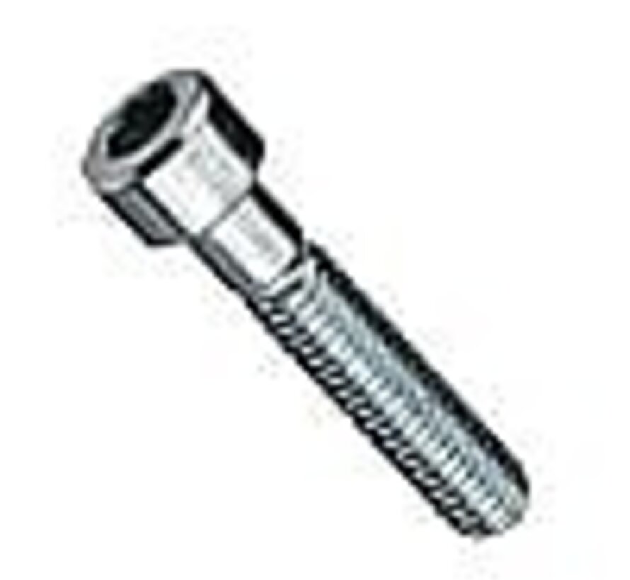 100 x Allen Screw - M12