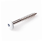 Screws for mounting Trespa panels - Torx 20 - 4.8x25mm - Stainless steel - Partial thread - Beige RAL 1013 (100 pieces)