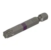 Dynaplus Dynaplus - Punta per vite 50MM - TX-40 Viola (5 pezzi)