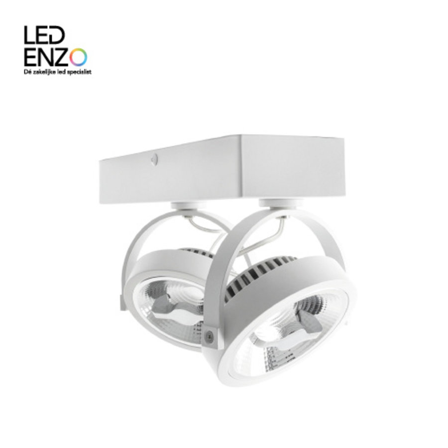LED plafondlamp met 2 spotlights verstelbaar dimbaar CREE-COB 30W AR111-3