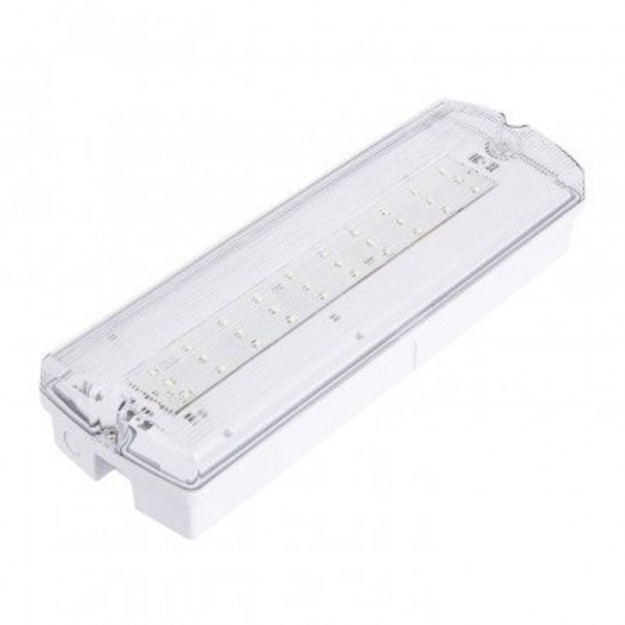 LED Galerij Portiek Noodverlichting 3 Watt met Autotest, Accu, 200Lm-2