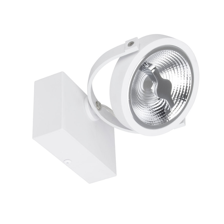 LED Spot Richtbaar AR111 15W wit dimbare Cree-6