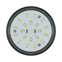LED Lamp Openbare verlichting IP64 E27 30W