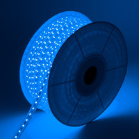 thumb-LED Strip, dimbaar 220V AC, 60 LED/m Blauw op maat 100cm-4