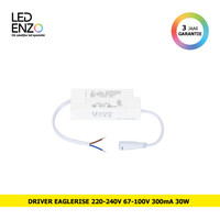 LED Driver 220-240V Uitgang 67-100V 300mA 30W LS-30-300RI EAGLERISE