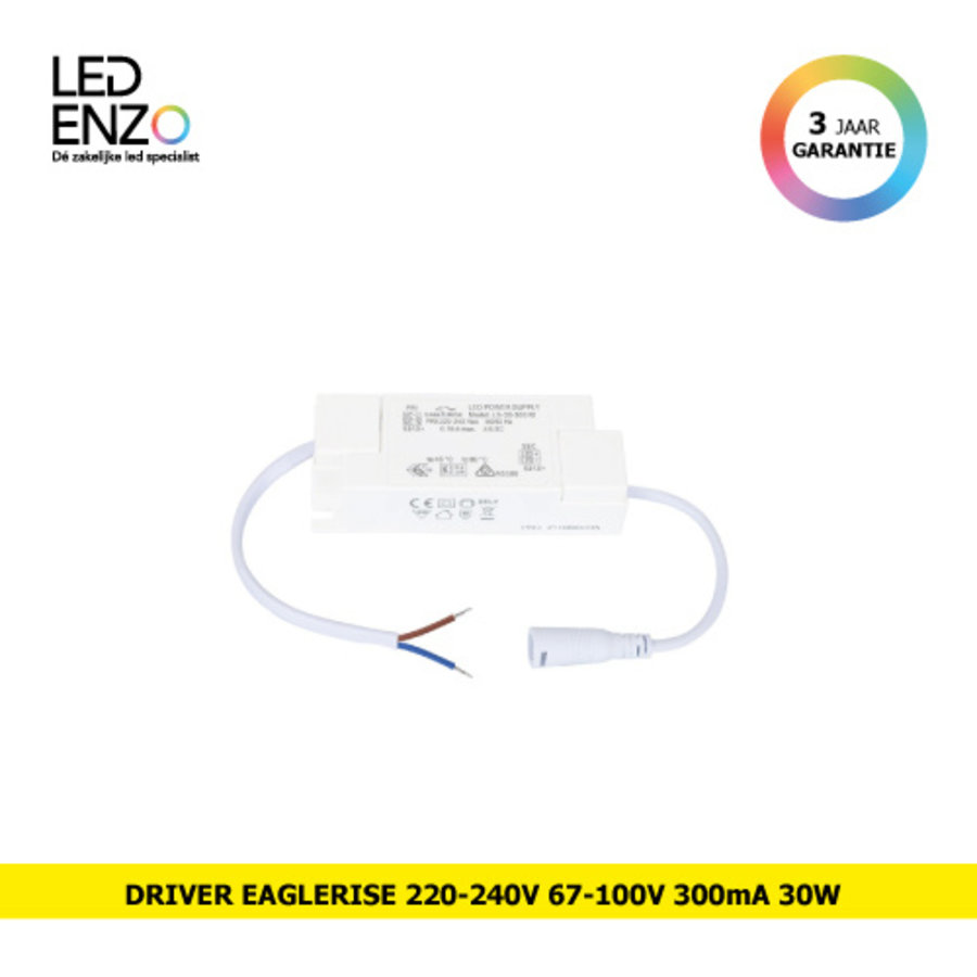 LED Driver 220-240V Uitgang 67-100V 300mA 30W LS-30-300RI EAGLERISE-1