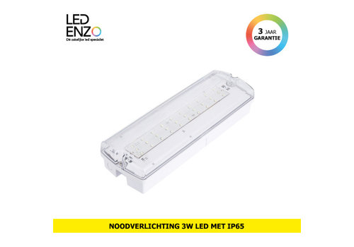 LED Galerij Portiek Noodverlichting 3 Watt met Autotest, Accu, 200Lm 