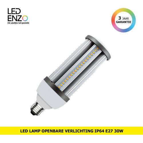 LED Lamp Openbare verlichting IP64 E27 30W 