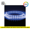 LEDENZO LED Strip, dimbaar 220V AC, 60 LED/m Blauw op maat 100cm