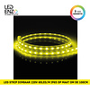 LEDENZO LED Strip, dimbaar 220V AC, 60 LED/m Geel op maat 100cm