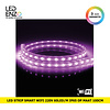 LEDENZO LED Strip Smart Wifi 220V AC 60 LED/m Violet IP65 op maat om de 100cm