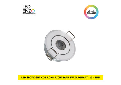 LED spot COB rond zilver verstelbaar 1W 