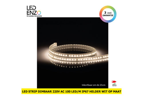 LED Strip Dimbaar 220V AC 100 LED/m Helder Wit IP67 Op maat om de 25 cm 