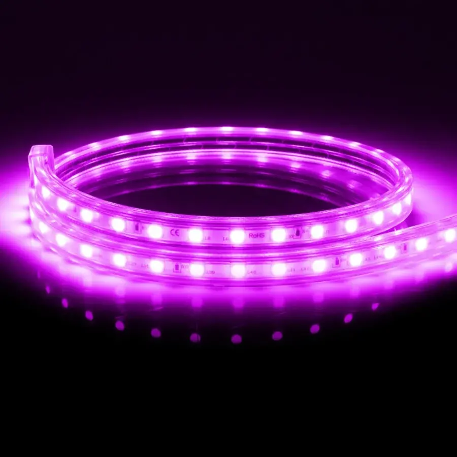 LED Strip Violet, 50m, 220V AC, SMD5050, 60 LED/m-3