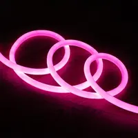 thumb-LED Neon Circulair Flexibel, 120LED/m Roze, rol 50m-4