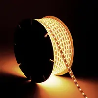 thumb-LED Strip Rol Dimbaar 220V SMD2835 60LED/m 500lm/m IP65 Breedte 12mm 50m IP65-2