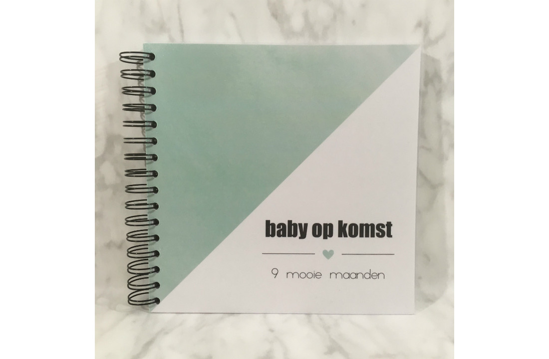 Invulboek Baby Op Komst MUNT - Studijoke