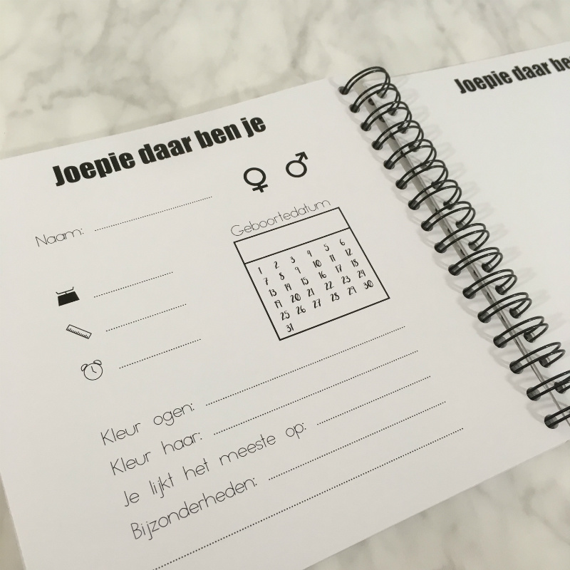 Invulboek Baby Op Komst MUNT - Studijoke