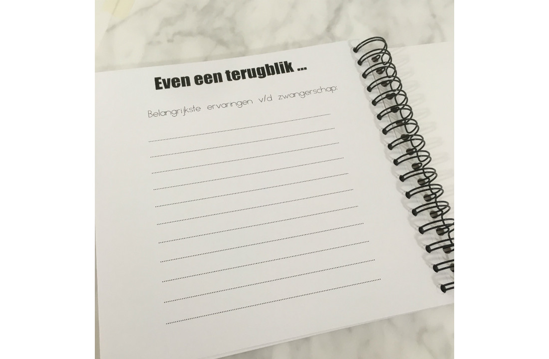Invulboek Baby Op Komst ROZE - Studijoke