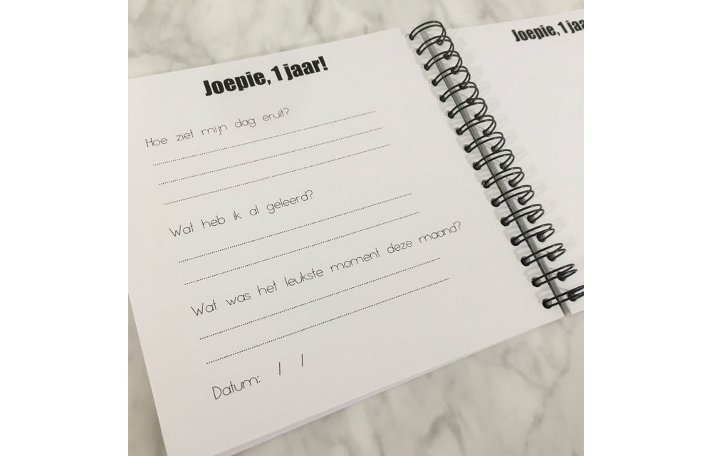 Invulboek Mijn Eerste Jaar ZWART - Studijoke