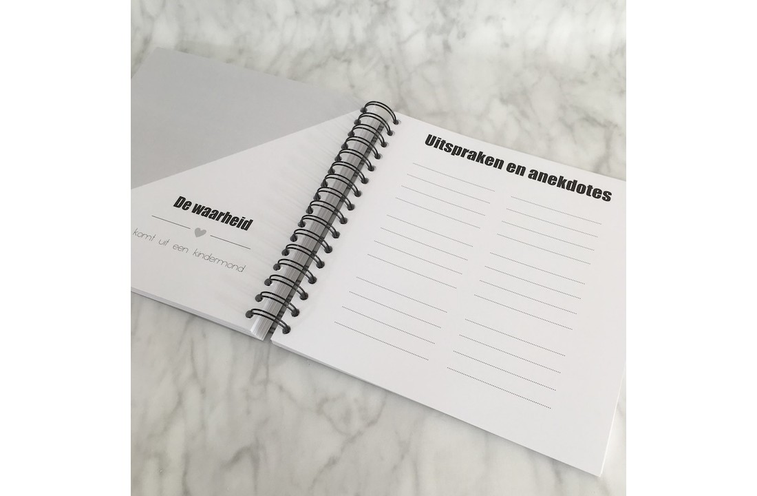 Invulboek Mijn Kleutertijd ROZE - Studijoke