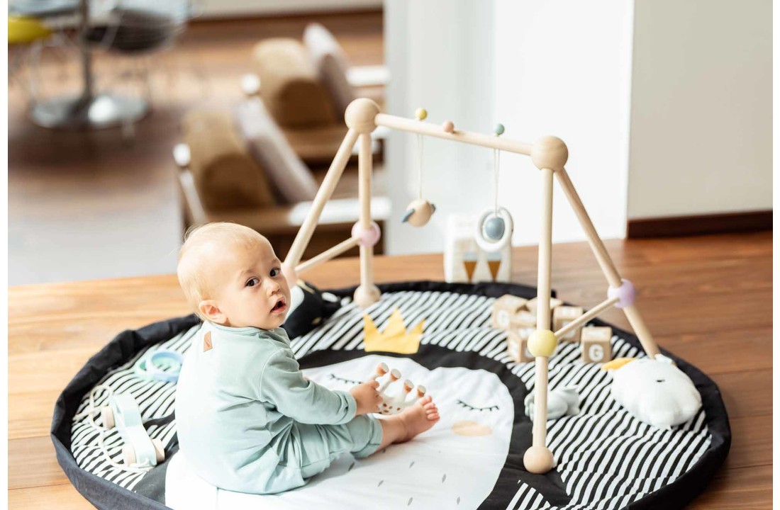 Play & Go Baby Speelmat - Pinguïn