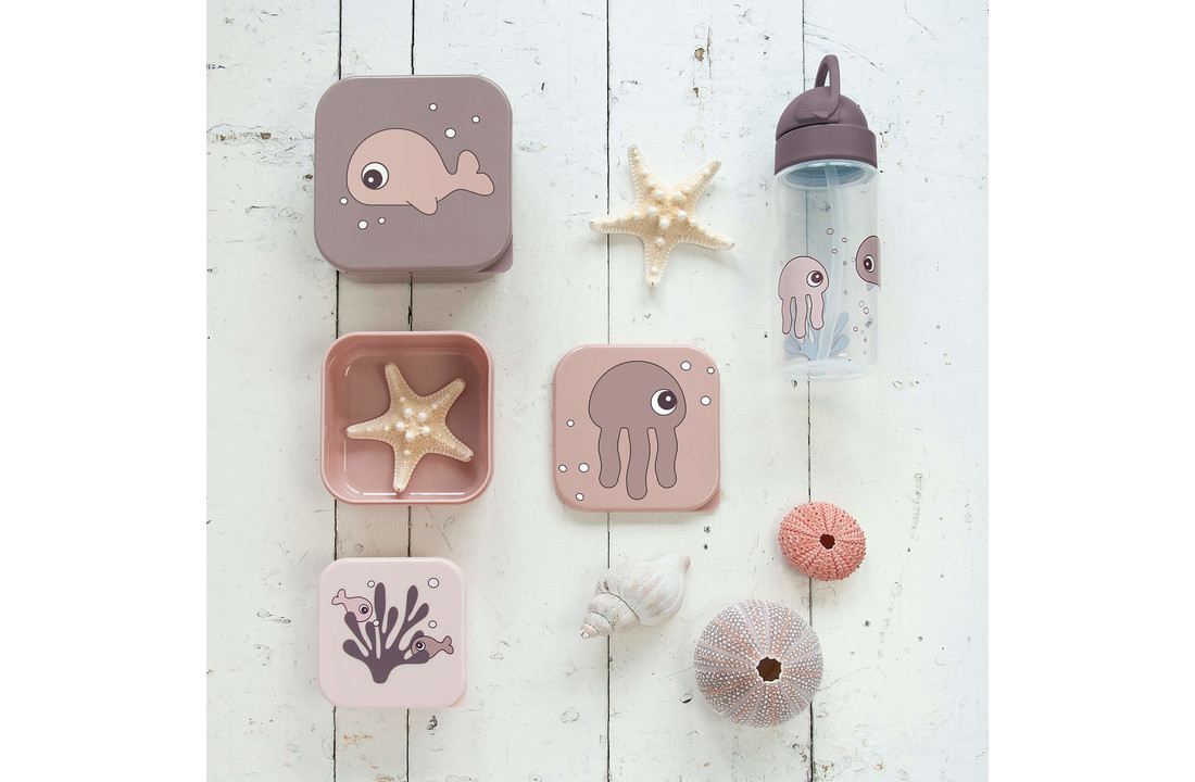 Snackdoosjes Sea Friends Powder (3 stuks) - Done by Deer