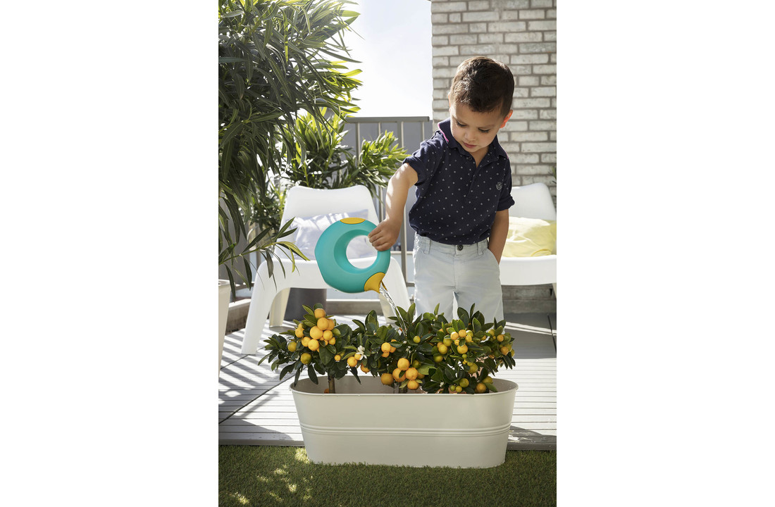 Cana Small Banana Blue - Quut