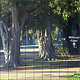 SERIES 9 LOW CONTRAST 4 FILTER - S9LC4 +