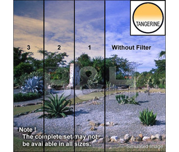 4X4 CLR/TANGERINE 2 SE FILTER - 44CGTA2S -