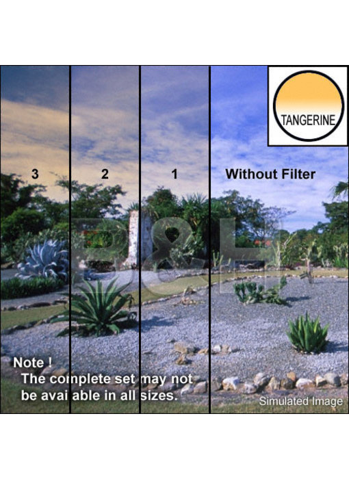 4X4 CLR/TANGERINE 2 SE FILTER - 44CGTA2S -