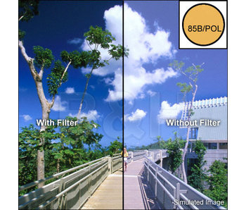 4X4 85B POLARIZER FILTER - 4485BPOL -