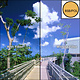 4X4 85B POLARIZER FILTER - 4485BPOL -