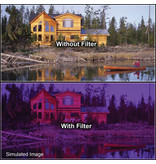 4x4 Grape 3 Filter - 44GR3