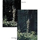 4x4 Ultra Contrast 1/8 Filter - 44UC18 -