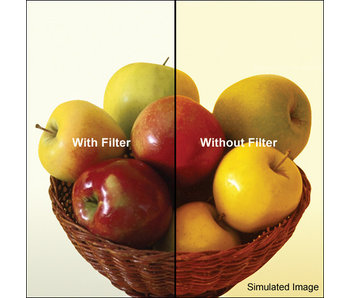 4x4 80B Color Conversion Filter - 4480B