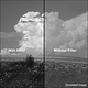 6.6X6.6 YELLOW 1 FILTER - 6666Y1