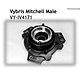 Vybris - Mitchell Male mount - VY-IV4171