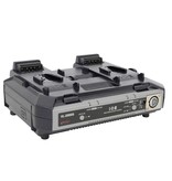 IDX 2x DUO-C198P Batteries, 1x VL-2000S Simultaneous Charger with 4 pin XLR DC Output (100W)