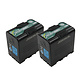 SB-U50 PD (2 Stück) Sony BP-U Lithium-Ion SB-U50/PD +