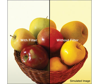 4X4 80A FILTER - 4480A -