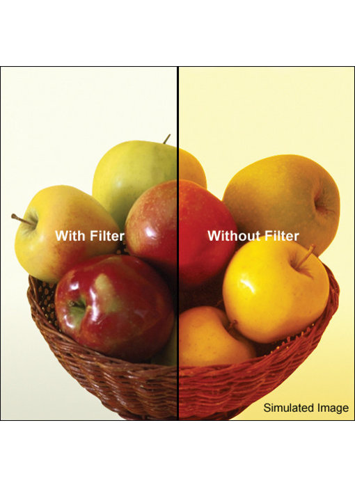 4X4 80A FILTER - 4480A +